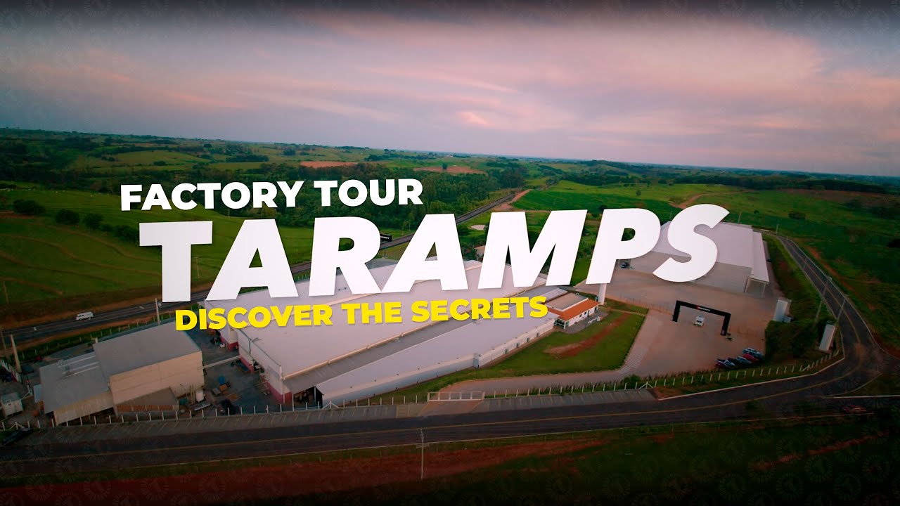 You've Never Seen THIS at Taramps Factory!