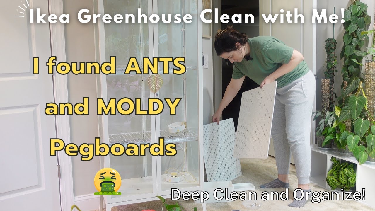 IKEA Greenhouse Milsbo Tall Cabinet DEEP CLEANOUT | 8 Month Update