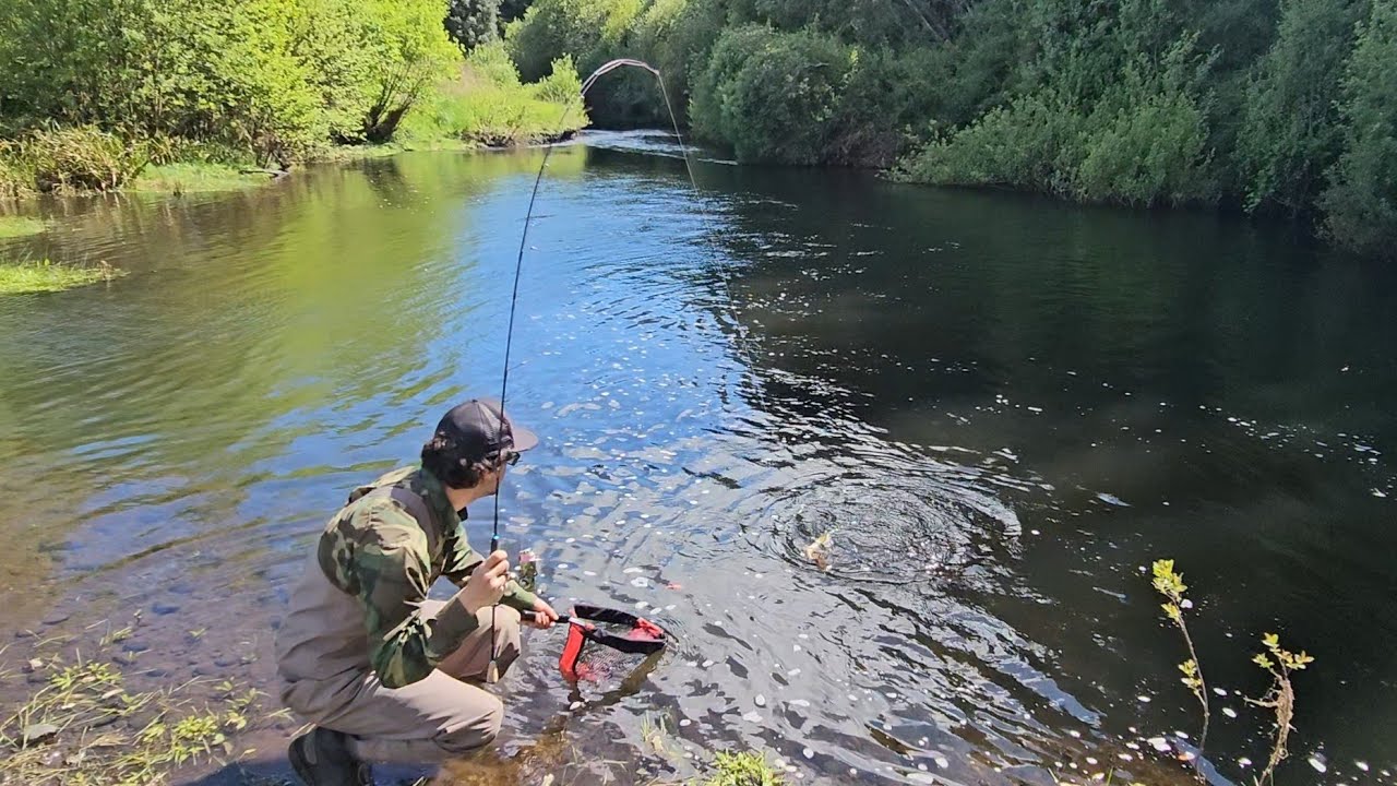 Les revelamos nuestros inicios en la pesca 😆🎣 | Pesca de Truchas en el sur de Chile 🇨🇱 |