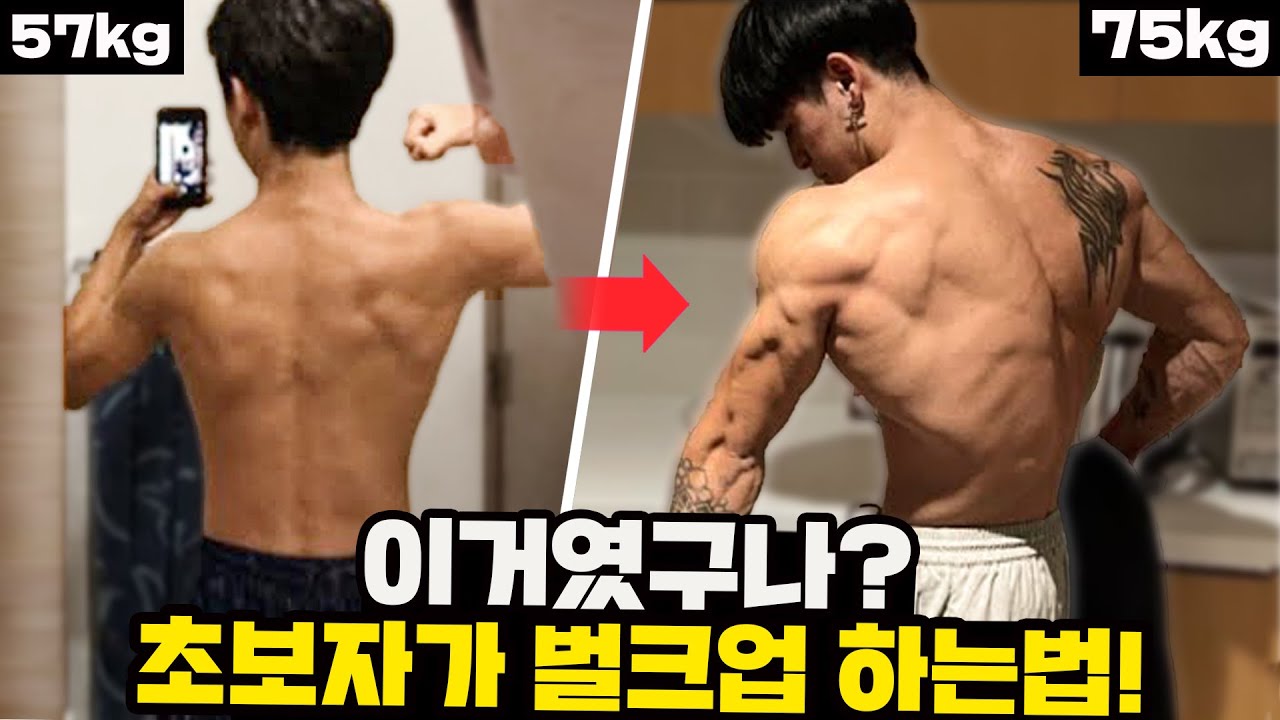 초보자는 딱 '한달만' 이 운동  따라하세요. 무조건 벌크업 됩니다! (헬린이 벌크업 루틴/방법)
