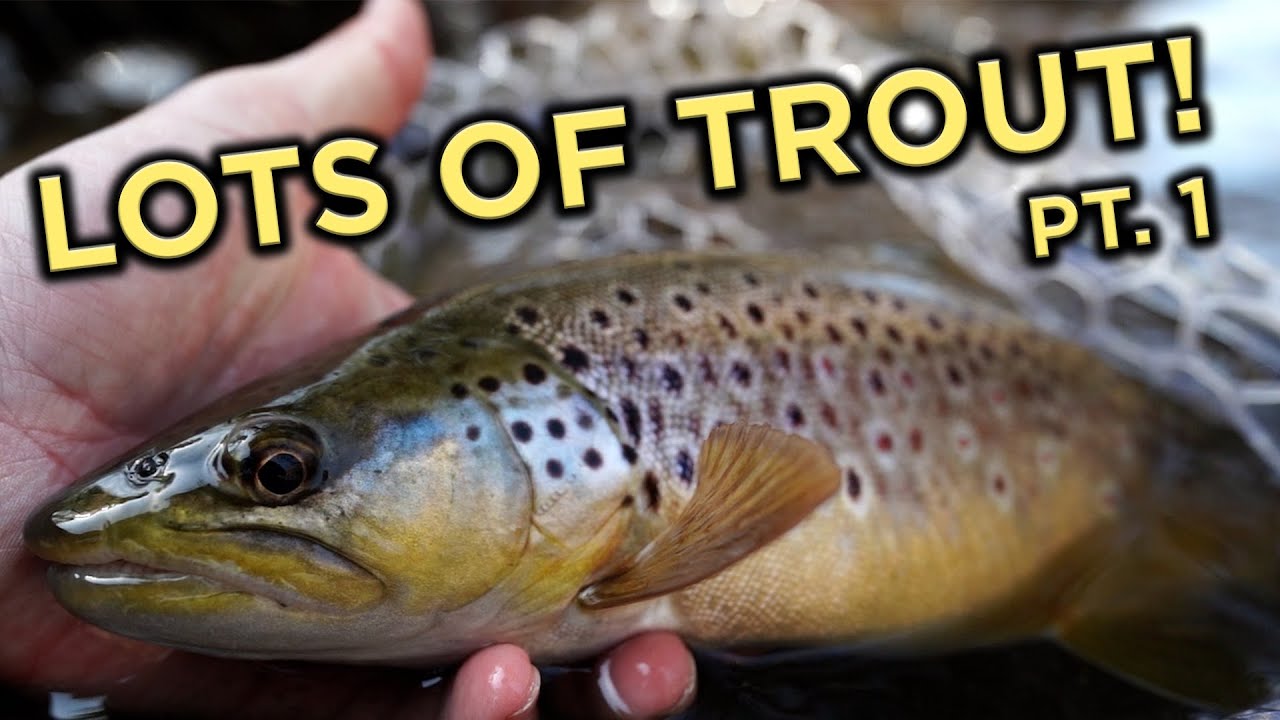 AWESOME SPRING NYMPHING!! Part 1 | Euro Nymphing for Trout