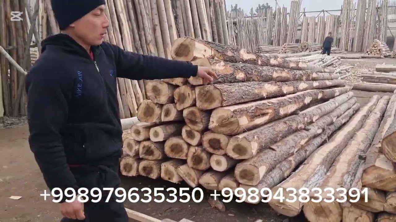 ШАХРИХОН ТЕРАК БОЗОРИ ЕН КОП ТАВАРЛАР БОР ВА АРЗОН