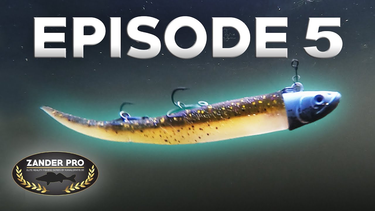 ZANDER PRO - Episode 5 (Polskie napisy)
