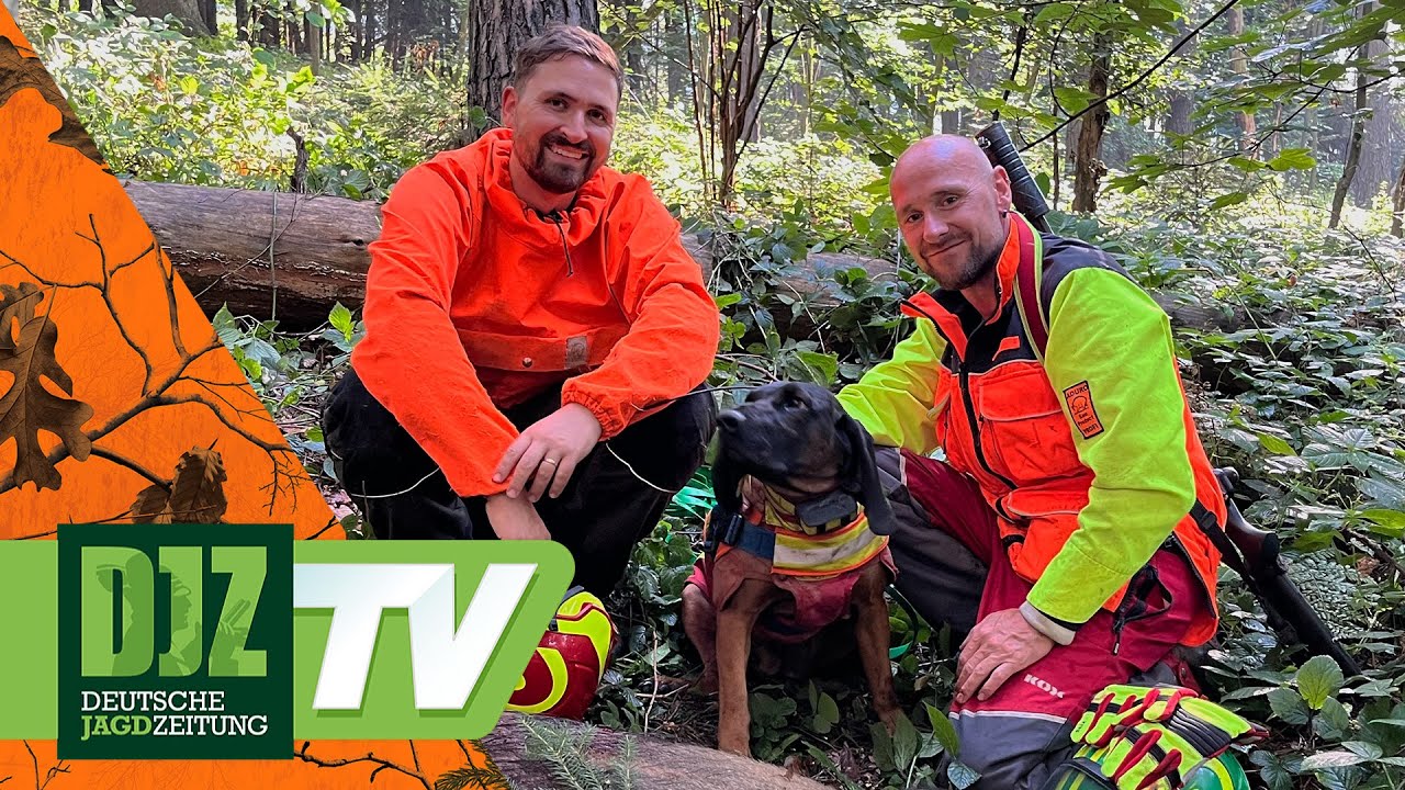 S&auml;chsische Suchen - DJZ TV