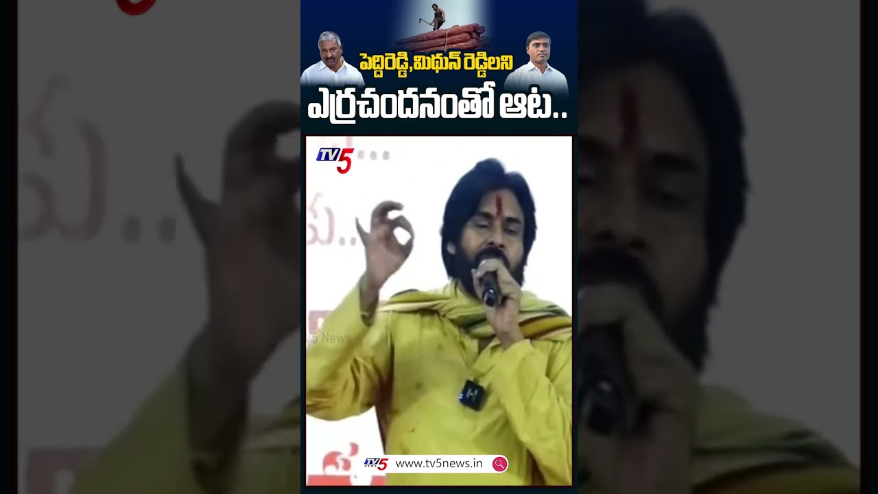 పవన్ కామెడీకి నవ్వలేక చస్తారు.. #pawankalyan #peddireddy #mithunreddy #ysrcp #tv5news