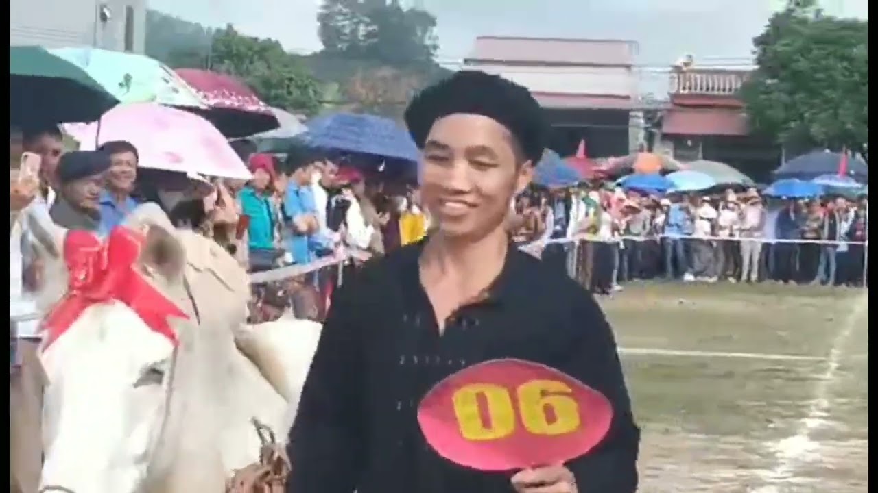Hội thi ngựa hoa hậu 14.tháng giêng âm lịch tân Sơn TV 