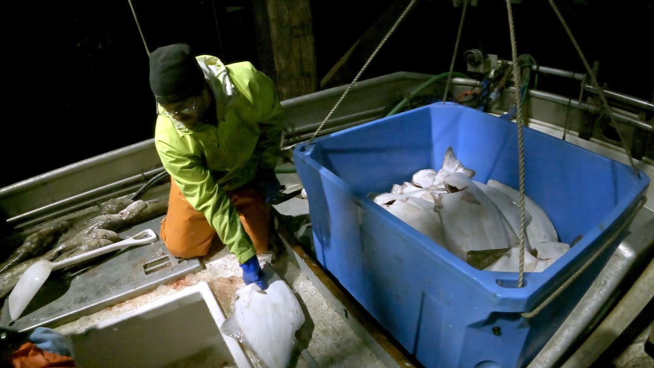 Another Day, Another Delivery! - Dropping Off Our Halibut Catch