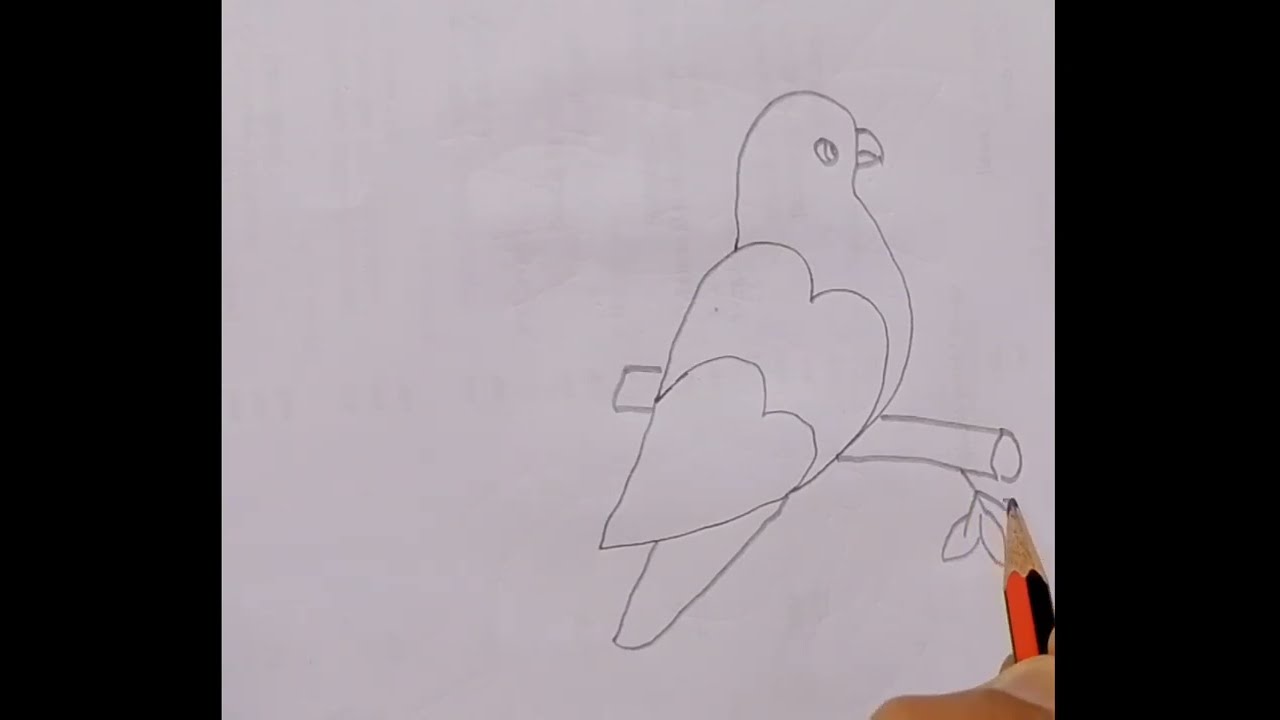 How to make pigeon 🐦 drawing. Pencil art drawing 😀. Easy drawing step by step.