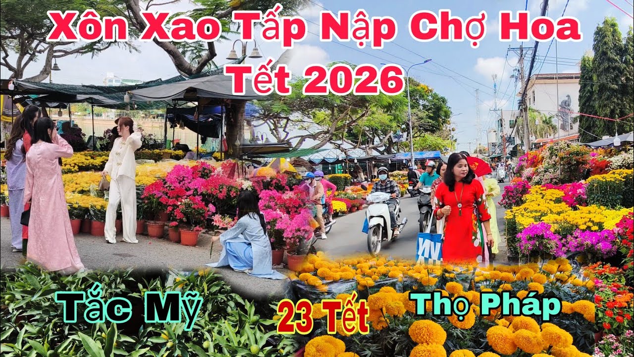 Xôn Xao Tấp Nập 23 Tết Chợ Hoa Tết Long Xuyên 2026, Nhiều Cây Đ.ộc Lạ Thọ Pháp Tắc Mỹ 