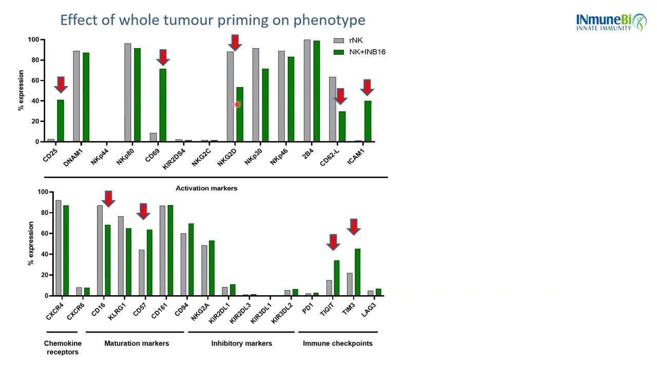 Prof. Mark Lowdell Explains How INKmune Arms Natural Killer Cells to Kill Solid Tumors