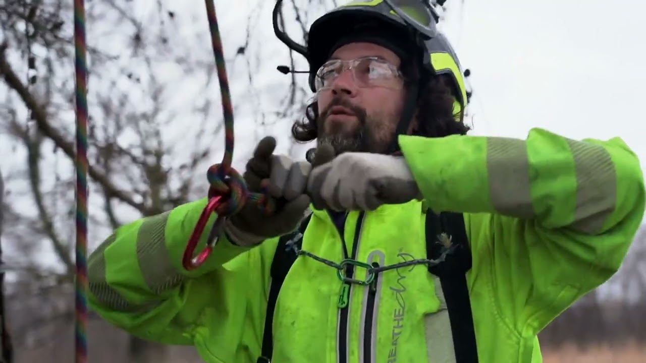 Accessing the Canopy with Hillock Tree Care