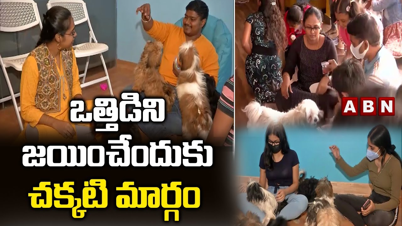 Pet-Themed Restaurant Opens In Chennai | ABN Digital