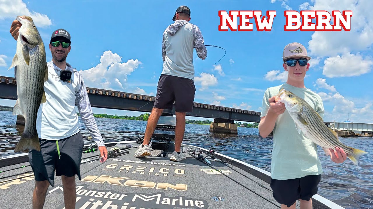BIG Striper on City Bridges!! (New Bern, NC)