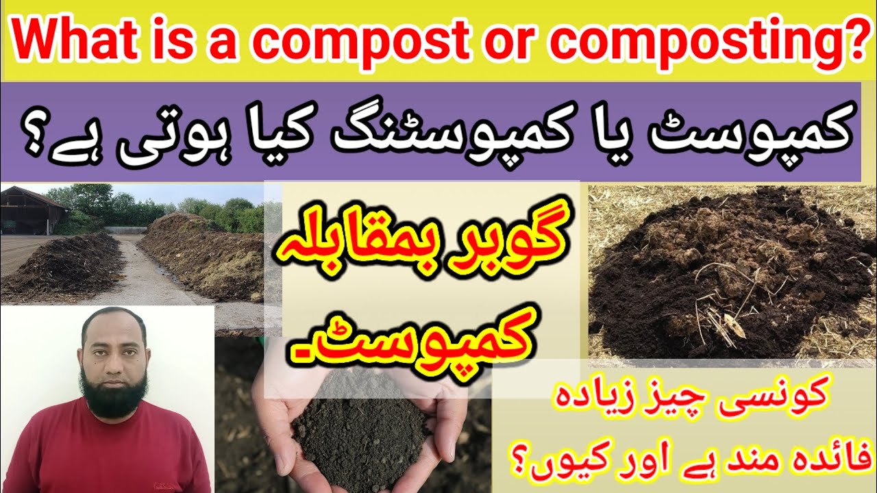 What is a Compost / Composting? Farmyard Manure v/s Compost