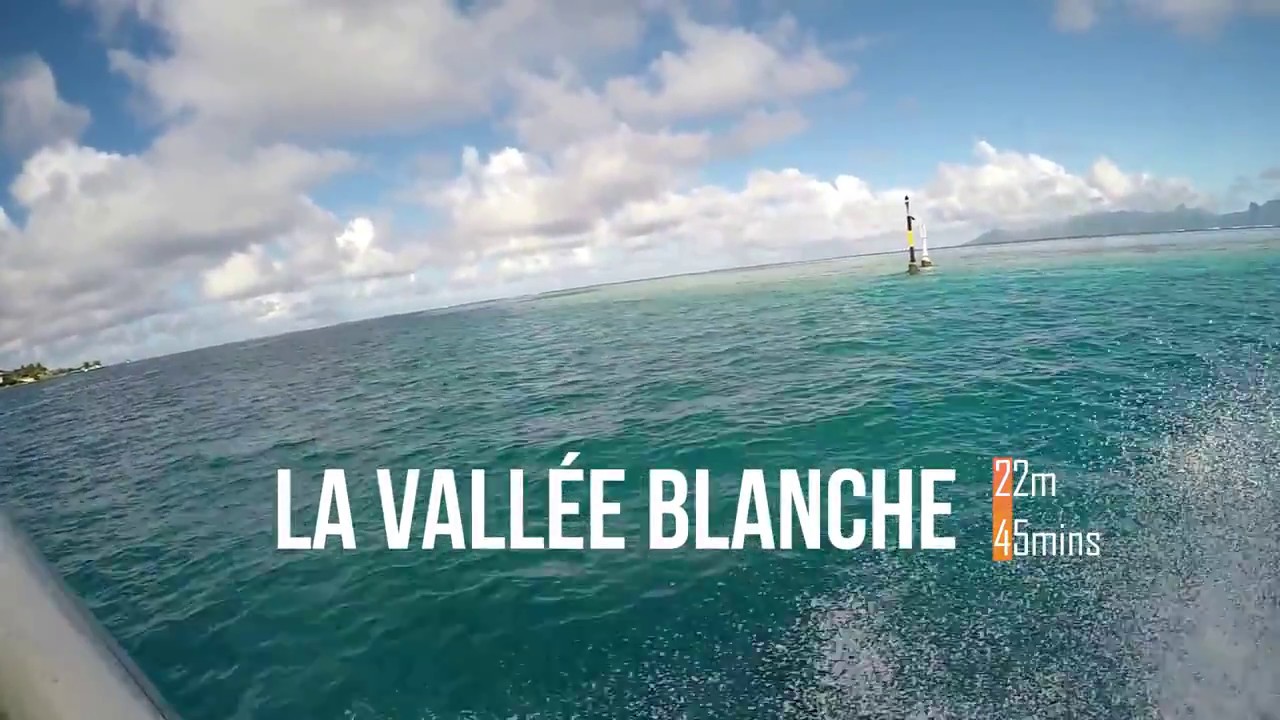 Tahiti-Moorea Plongée/Diving