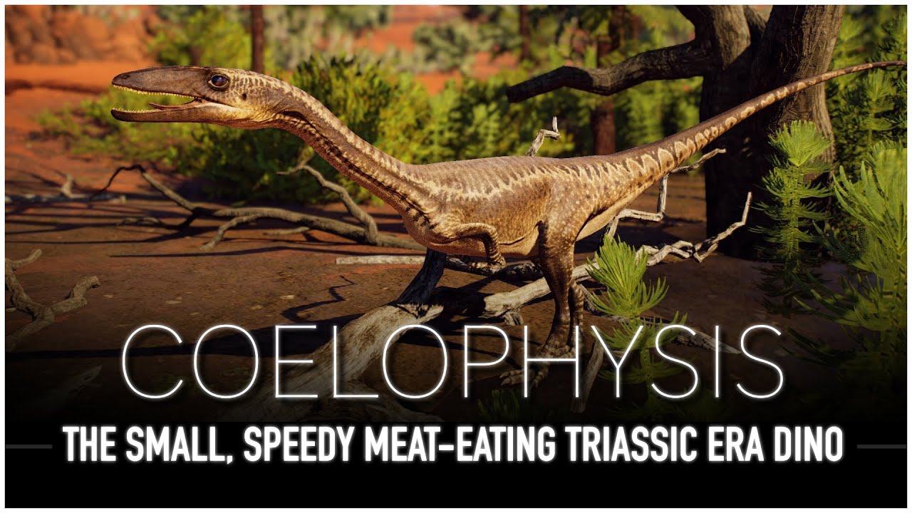 Coelophysis: The Legendary Dinosaur of the Triassic | Dinosaur Documentary