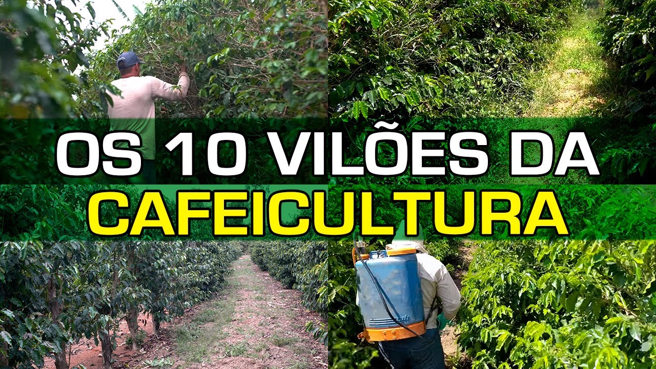 Vou Mostrar os 10 Grandes Vilões que são Inimigos do seu Lucro! | No Pé do Café
