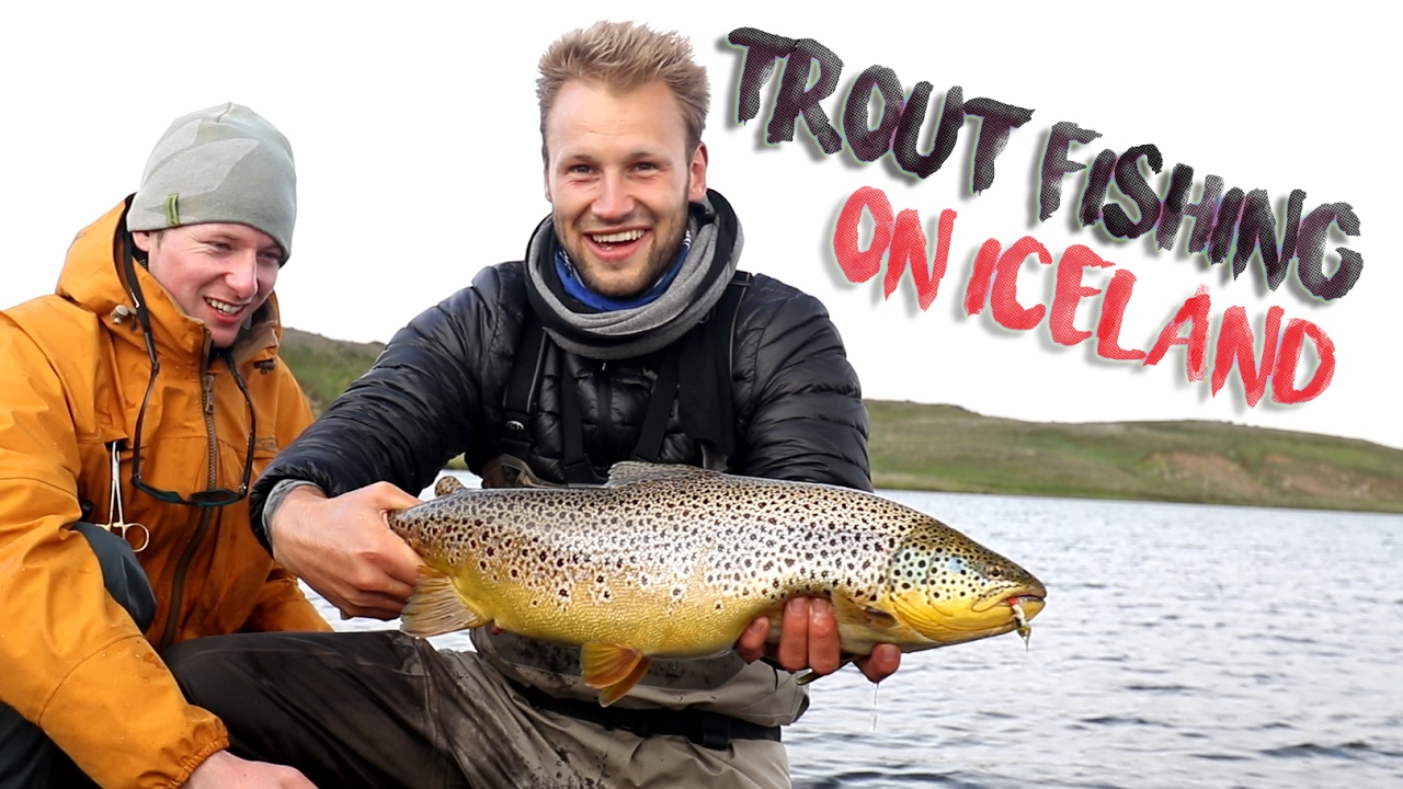 Kæmpe Ørreder på Island | TROUT FISHING - On Iceland
