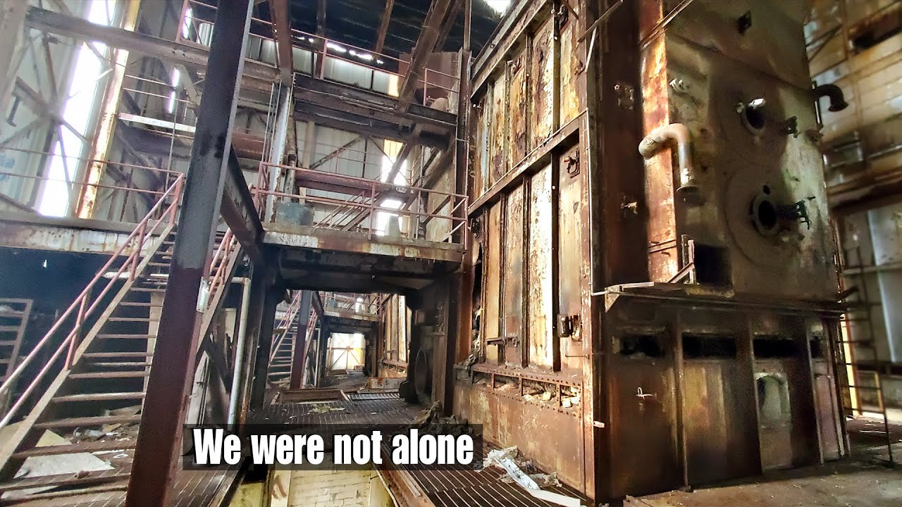 Massive Abandoned Factory - With Some Unexpected Visitors Lurking