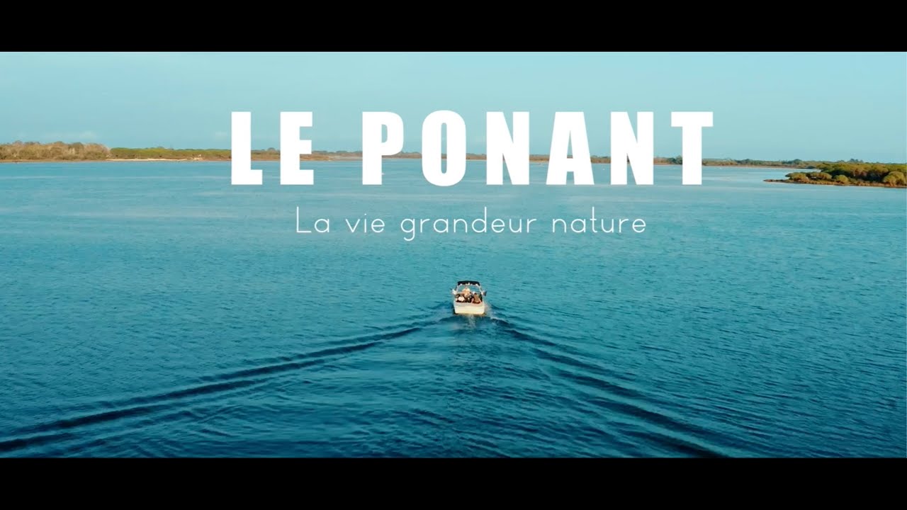 Le Ponant : la vie grandeur nature à La Grande Motte