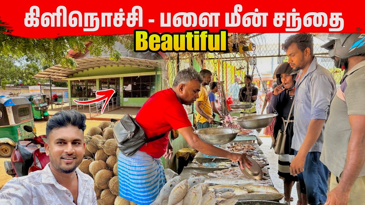 மாற்றம் அடைந்த பளை மீன் சந்தை பிரமாண்ட அழகு | Kilinochchi Palai Market 