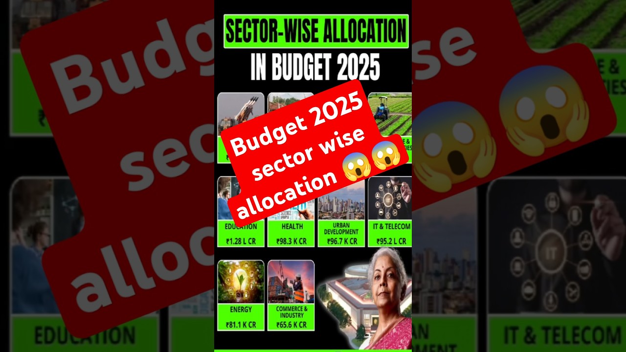 Budget 2025 sector wise allocation 😱😱 #budget #sharemarket