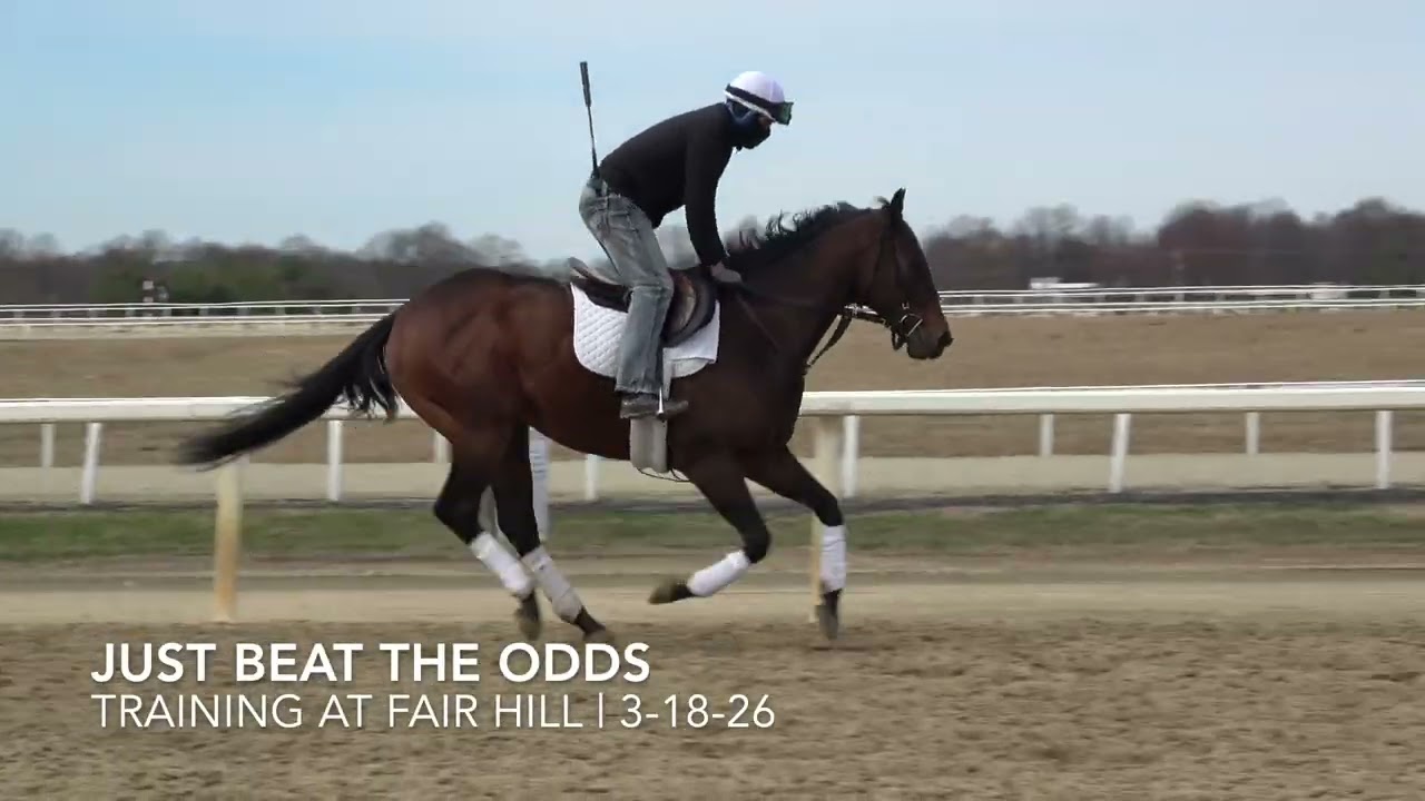 FTDMAR26: Just Beat The Odds - Training Video 3-18-26