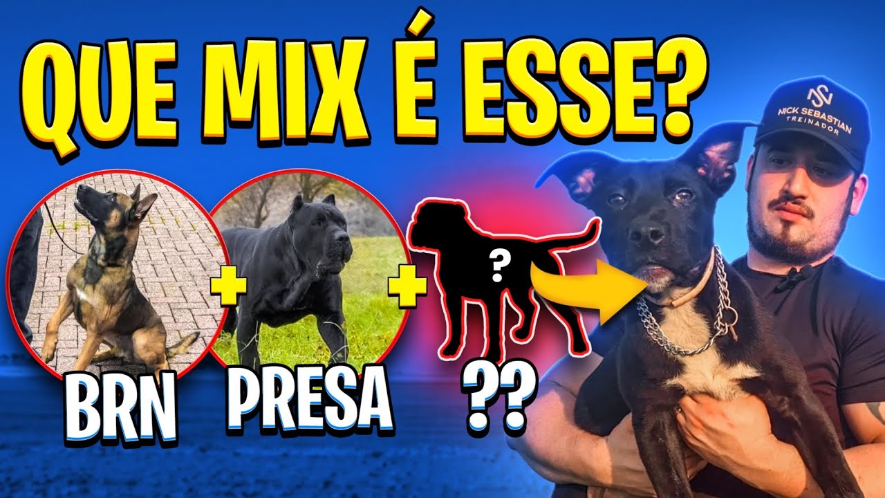 PRESA COM MALI? DEU CERTO?