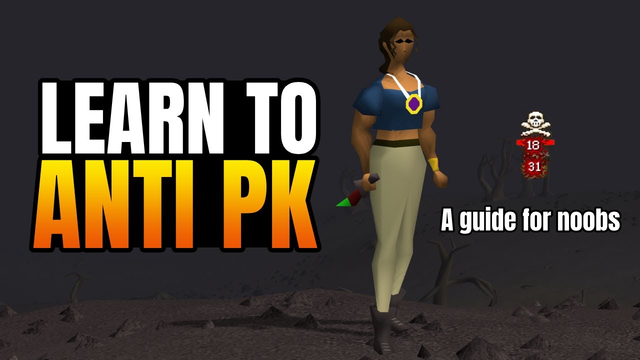 The Beginner's Guide to Anti PKING