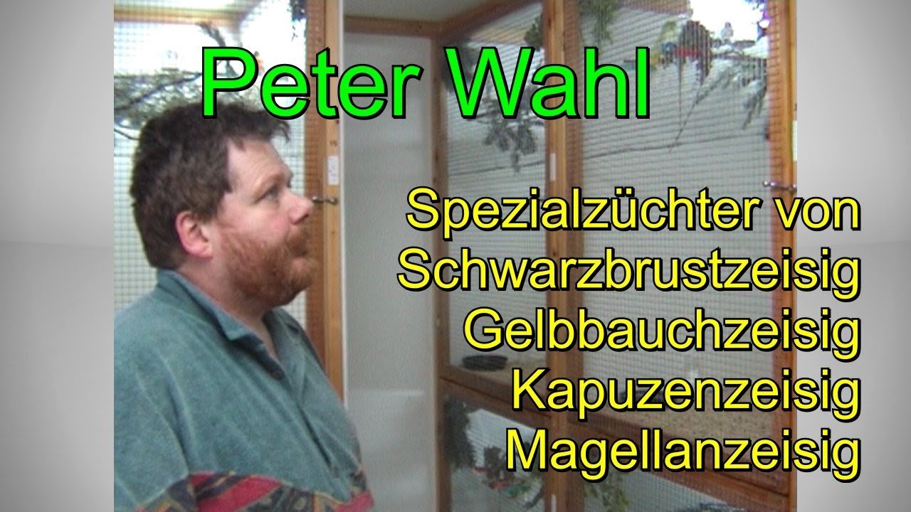 Besuch bei Zeisigzüchter Peter Wahl. Der mehrfache Weltmeister bei seinen Vögel.