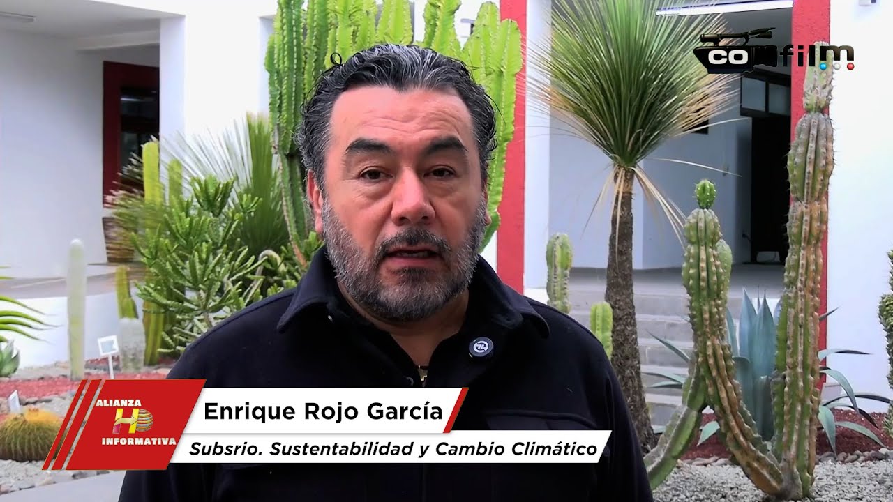 Acciones ambientales coordinadas garantizan un medio ambiente sano en el estado - Hidalgo