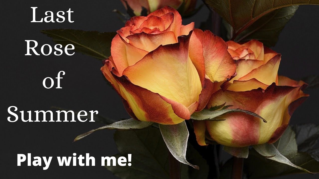 Arban Trumpet Duet Play Along | The Last Rose of Summer