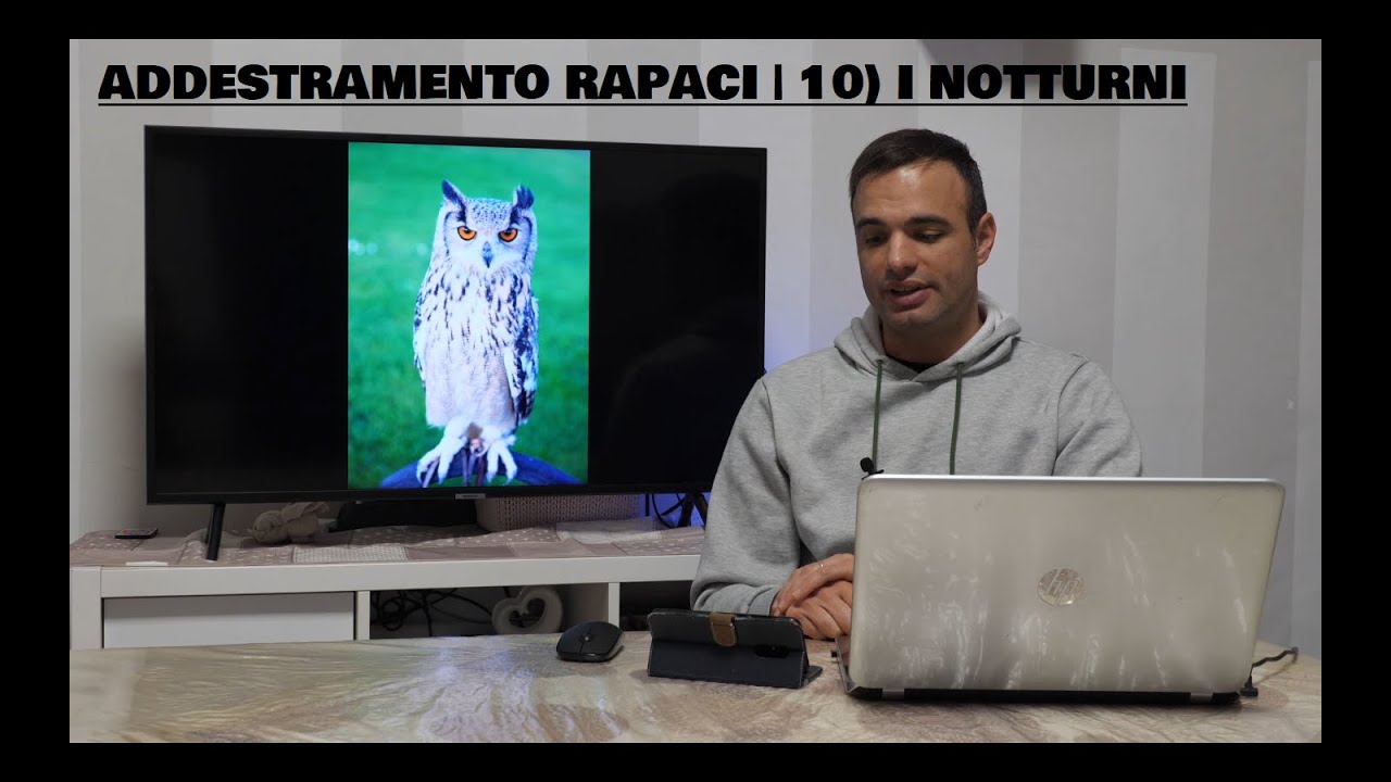 COME ADDESTRARE I RAPACI | 10) I notturni più utilizzati