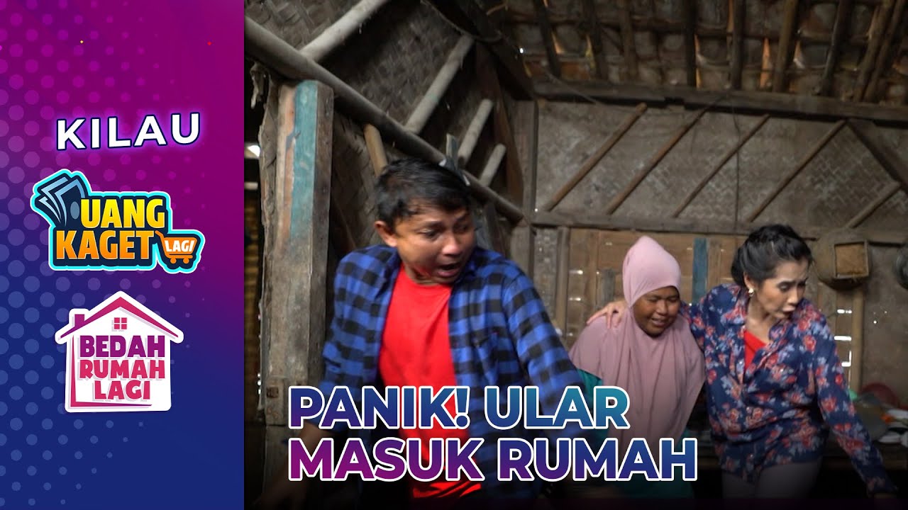 Auto Panik! Ada Ular Besar Masuk Rumah Pak Jatam! - Kilau Uang Kaget & Bedah Rumah