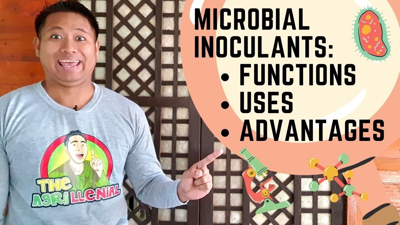 Microbial Inoculants: Functions, Uses and Advantages