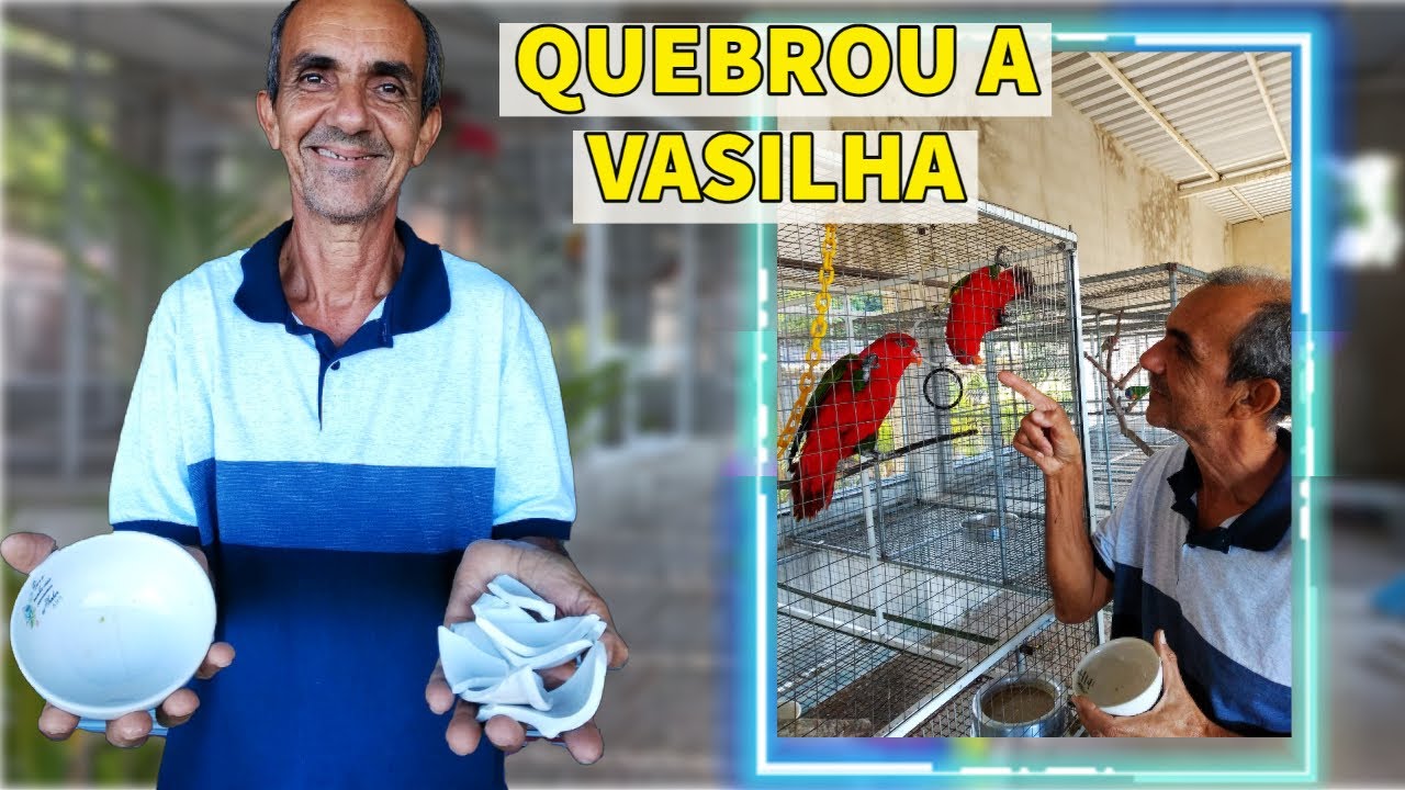 IMPRESSIONANTE A FORÇA DO LORIS AMOR-AMOR