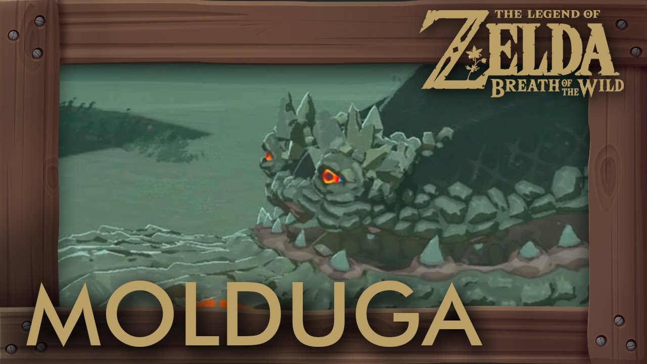 Zelda Breath of the Wild - All Molduga Locations (How to Get Medal of Honor)