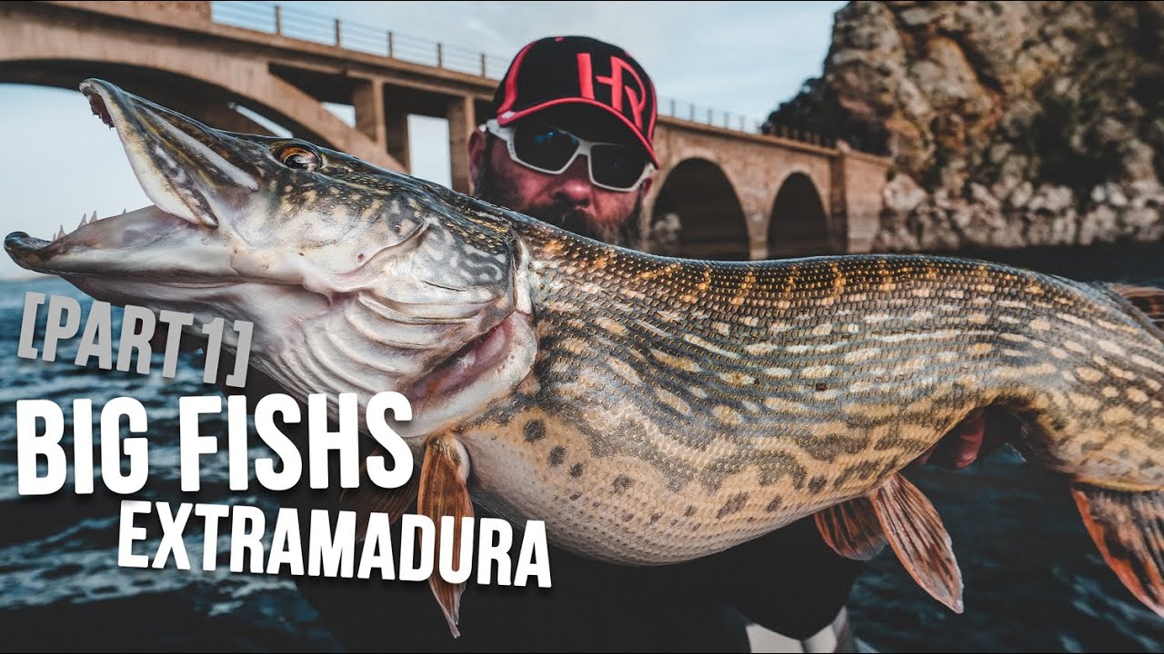 PÊCHE DES GROS BROCHETS & SANDRES en EXTRAMADURA 🇪🇸Avec CEDRICK PLASSEAU [PART-1]