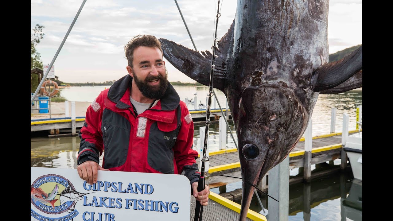 Epic swordfish battles in Bass Strait