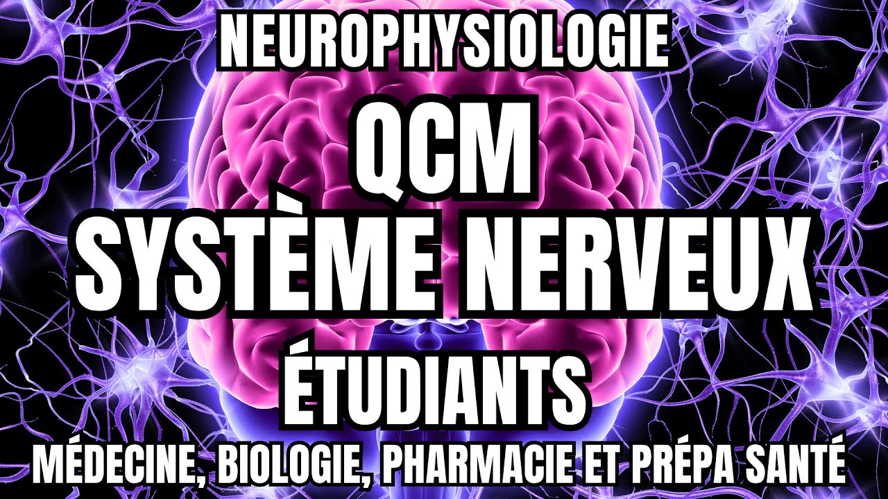 QCM Système Nerveux : 30 Questions sur la Neurophysiologie. Explications claires sur chaque réponse🎯