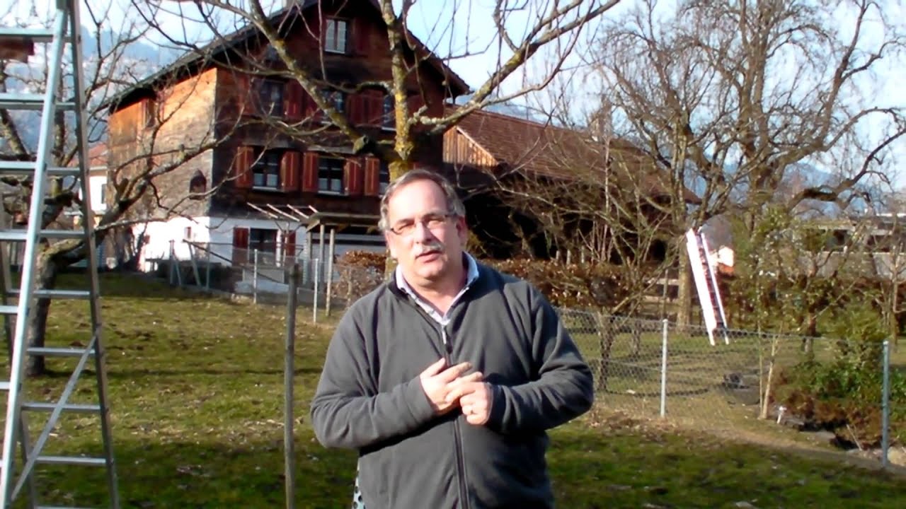 Obstschnitt Tour 2011 Intro
