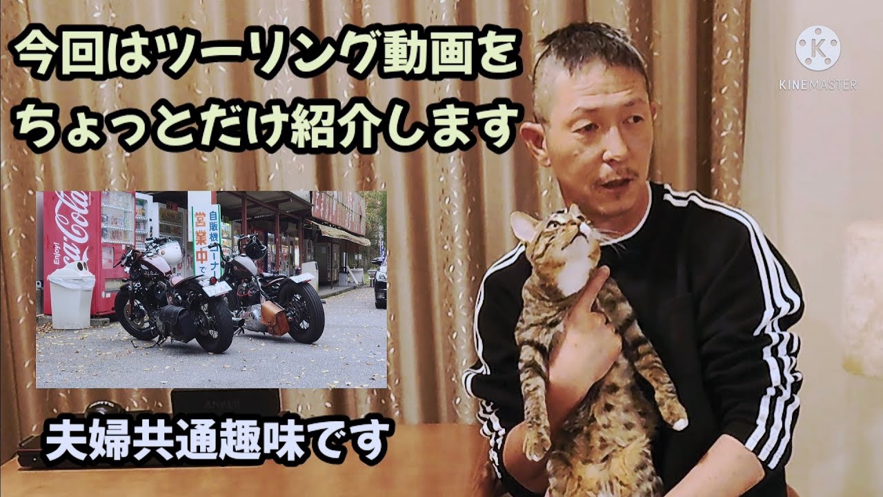 今回は【ツーリング動画】です。山口県上関町　海が見えるカフェレストラン