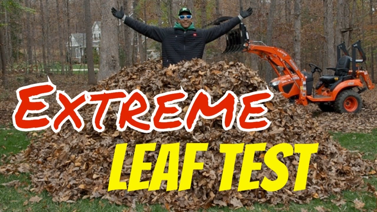 Extreme Leaf Clean Up| Putting the Echo PB 8010 Backpack Blower to the TEST