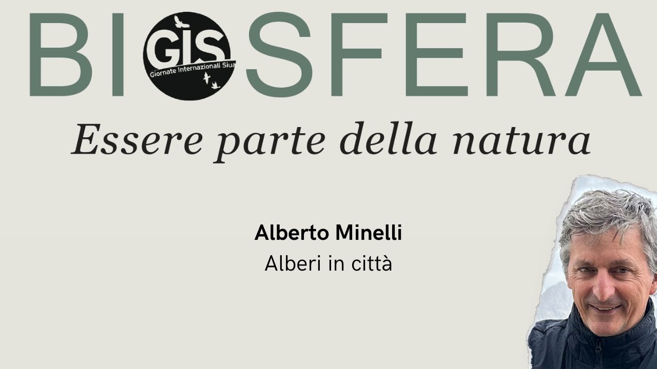 GIS 2025 - Alberto Minelli