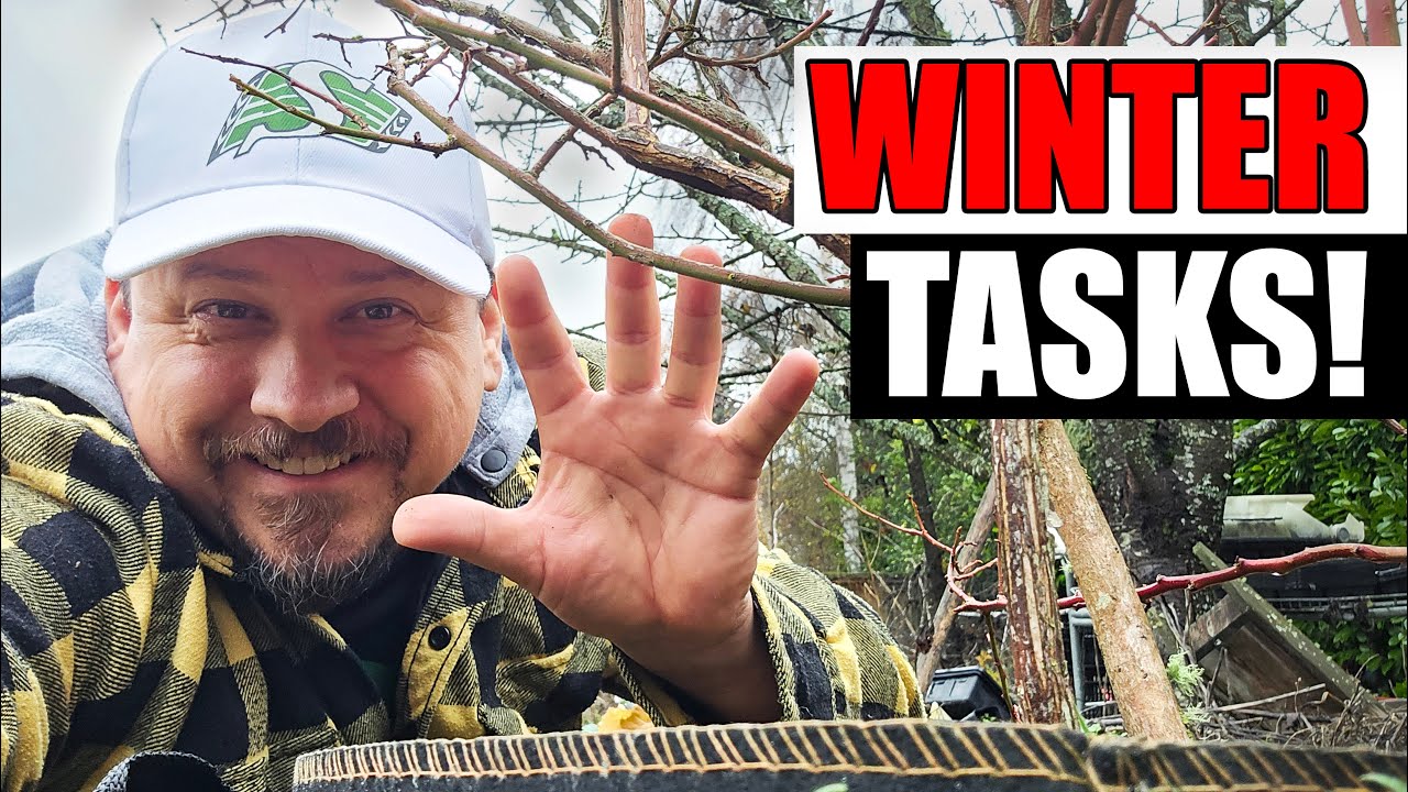 Essential Winter Tasks - Garden Quickie Episode 271