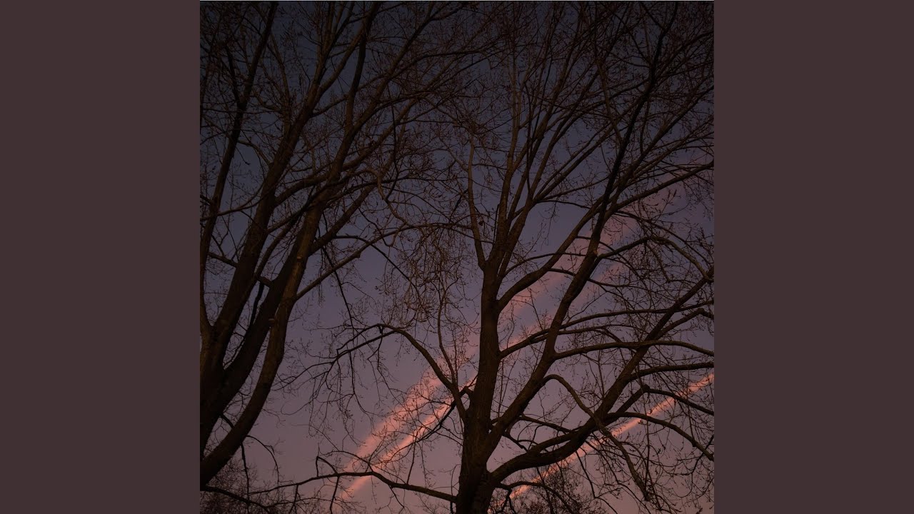 Cold Nights