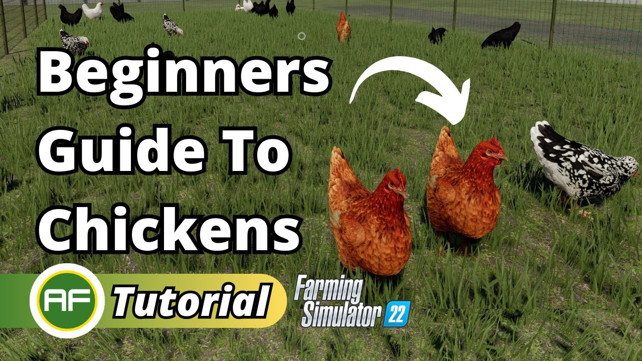 Beginners Guide To Chickens Everything You Need To Know! - Farming Simulator 22
