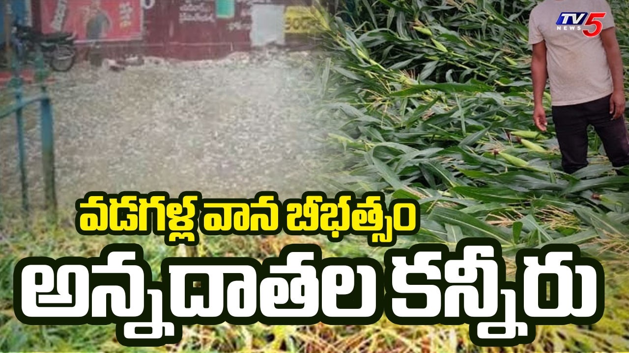 7 జిల్లాలకు ఆరెంజ్ అలర్ట్...Heavy Rain Hits Telangana -Thousand Of Acres Destroyed  | TV5 News