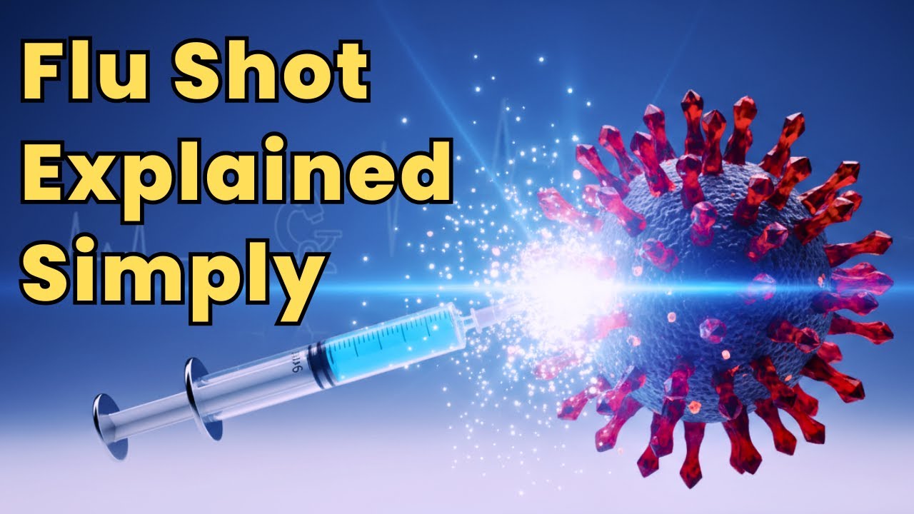 The Flu Vaccine Explained: How It Works and Why You Need It