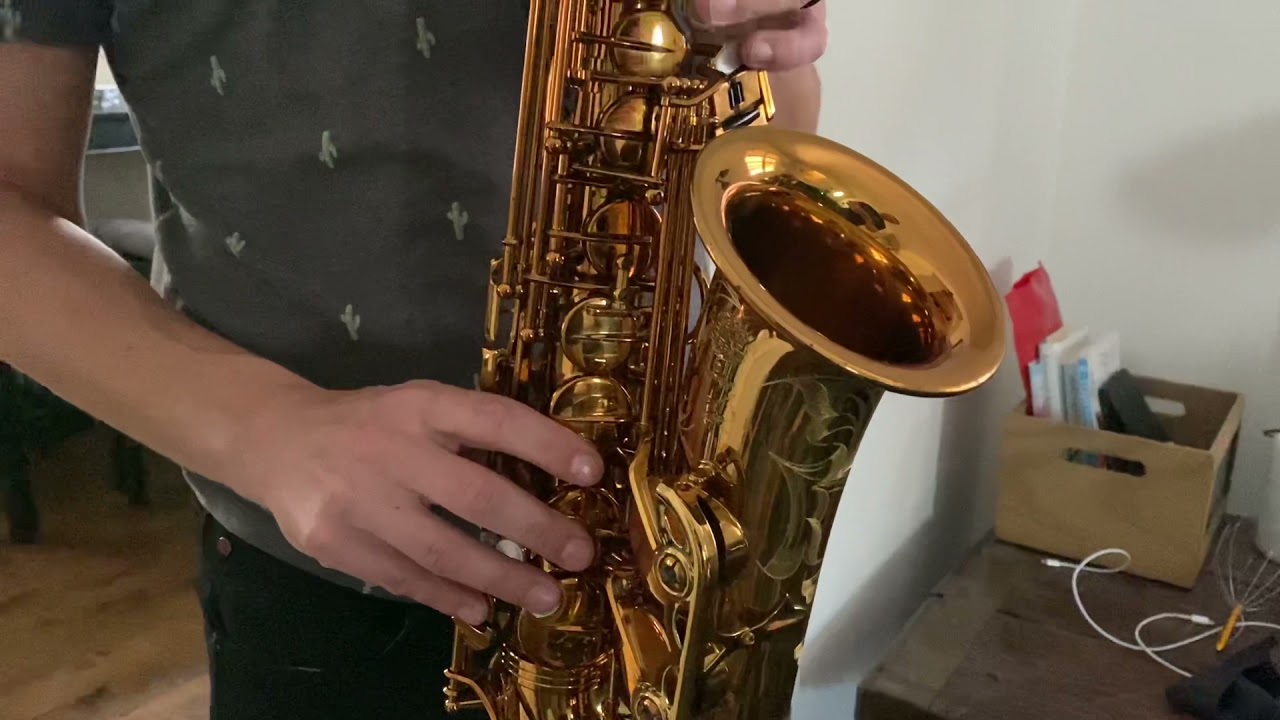 Selmer Reference 54 Alto Saxophone Demo, www.dcsax.com